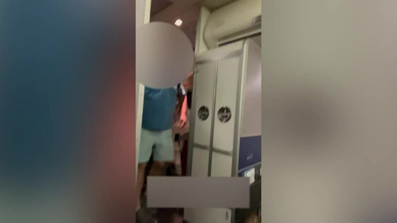 Video appears to show a passenger repeatedly hitting a United Airlines flight attendant before...