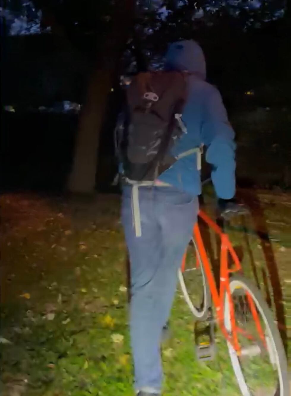 Woman attacked on bike trail