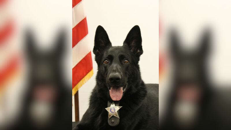 The Oregon Police Department announced the death of the department’s first K9 on Monday.