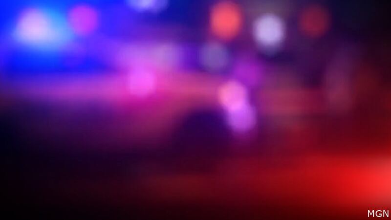 A driver was heading to work Saturday morning when he allegedly hit a deer and a utility pole,...