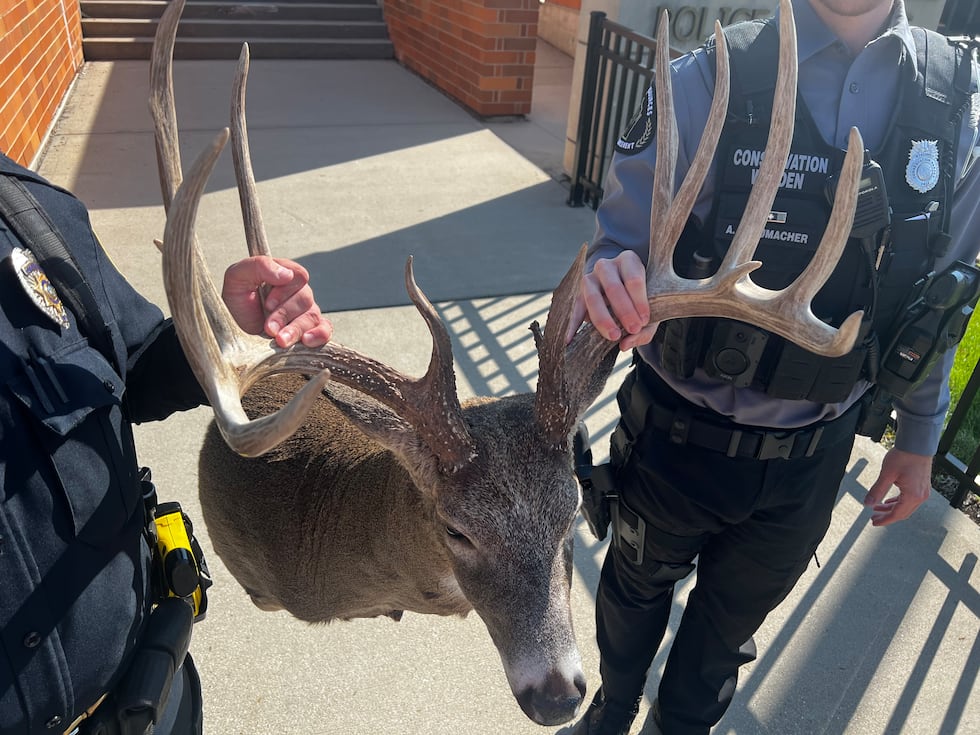The dump buck's antlers measured 205 inches. Experts say anything over 200 inches is a...