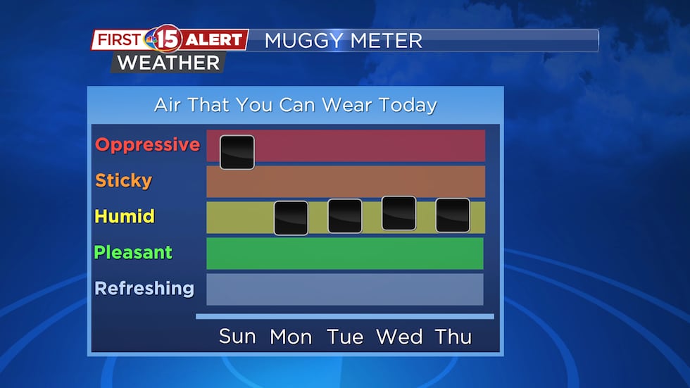 Muggy Meter