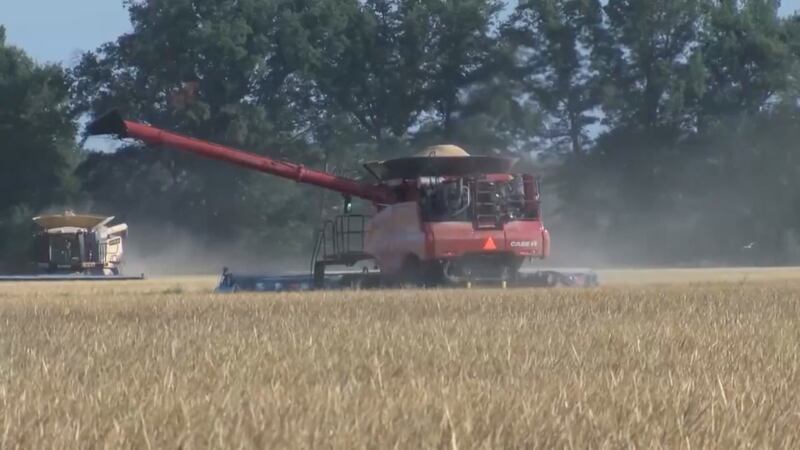 Harvest