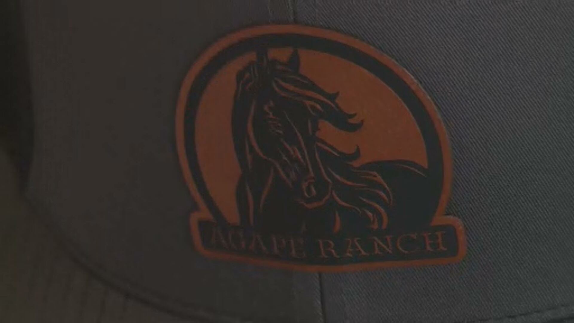 Mark and Leslie Johnson set to open therapeutic horse ranch - Vimarsana News
